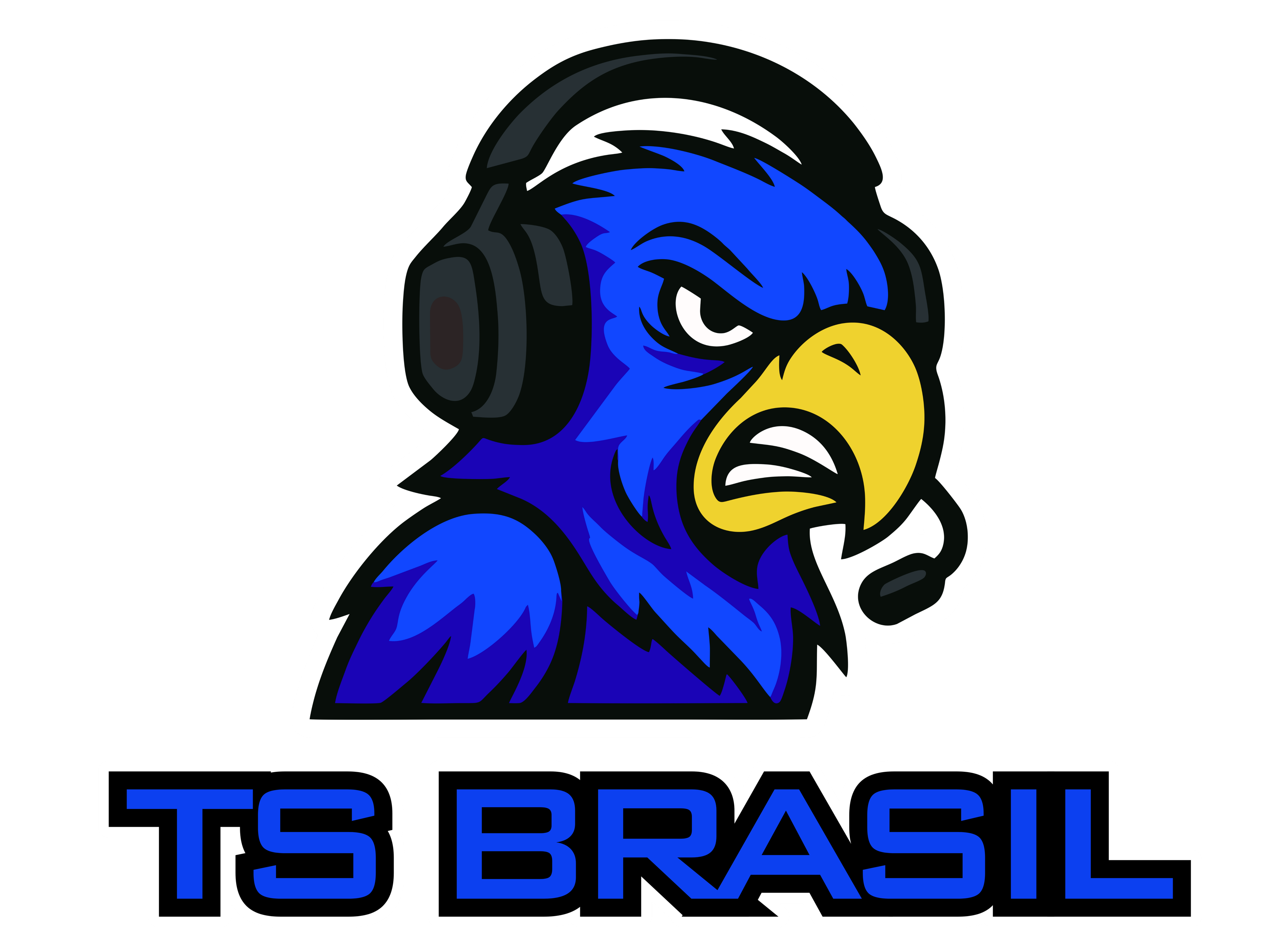 TS Brasil